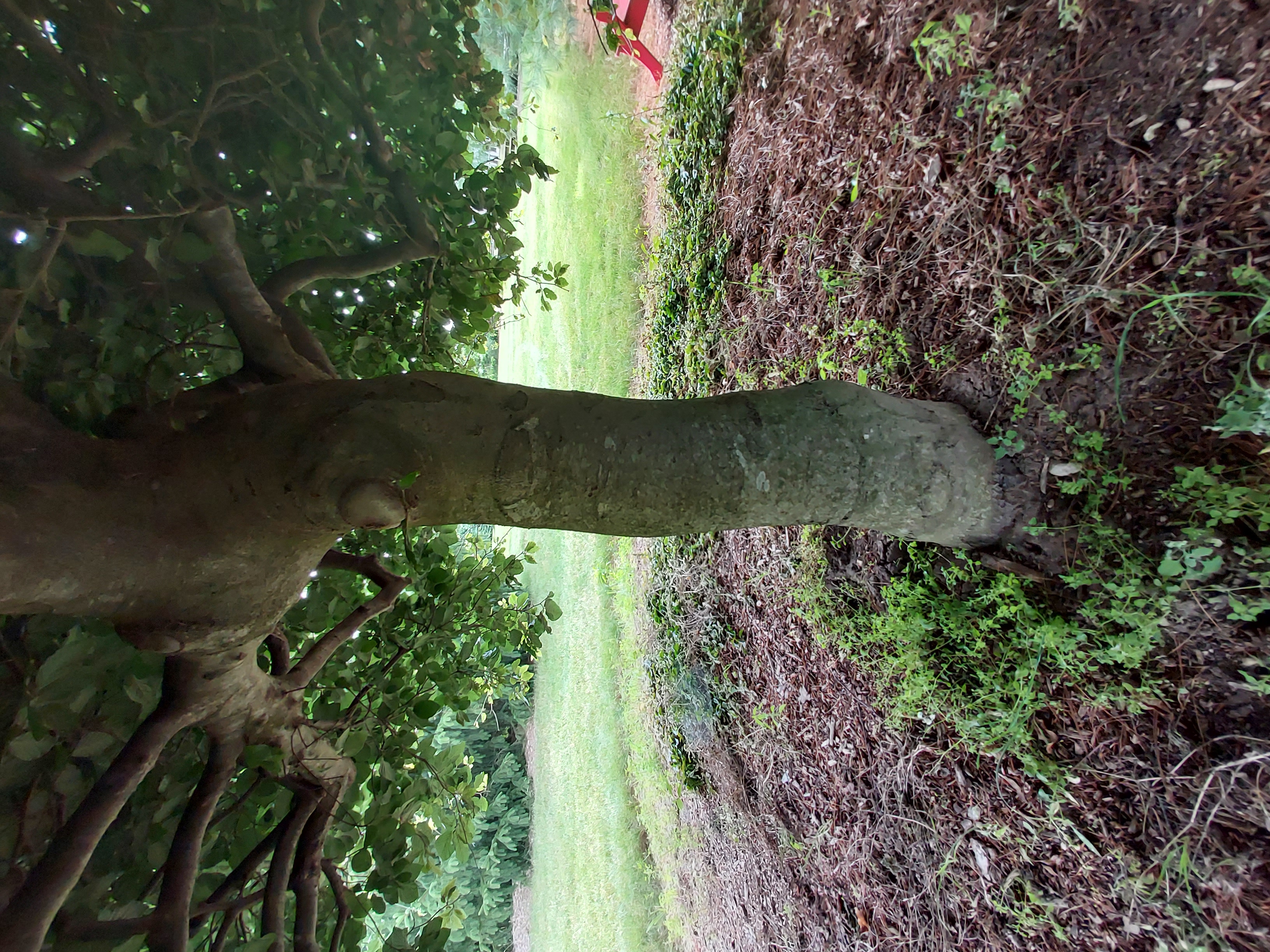 RE-TREE