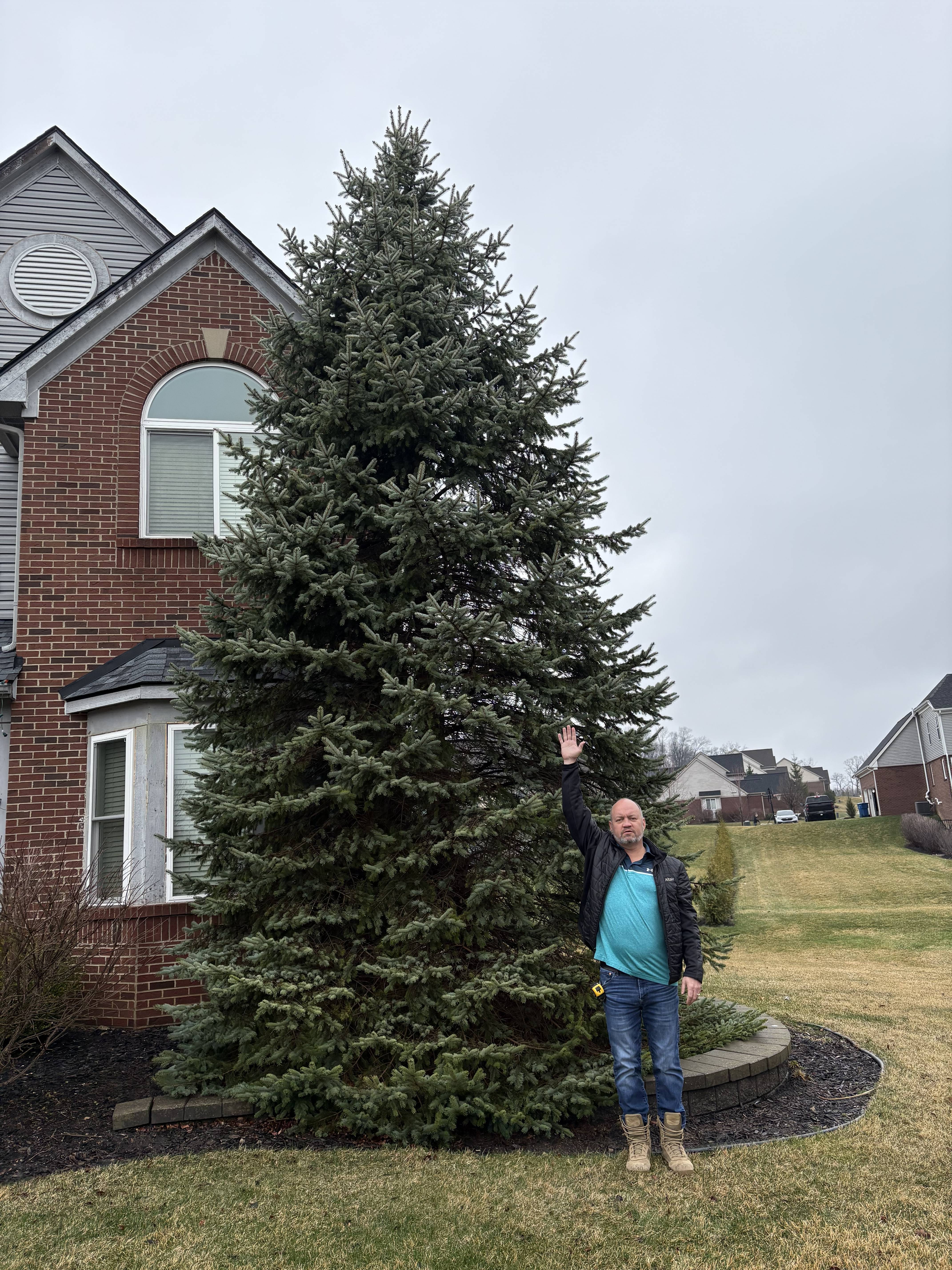 Remi Tree RE-TREE
